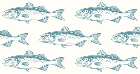 Color bass Seamless Pattern. Lubina. Dicentrarchus labras