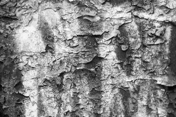 Rusty wall. Grunge texture. Shabby paint on a metal sheet.