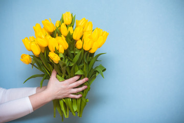 A large bouquet of yellow tulips in female hands. Greeting card with bright tulips with copyspace