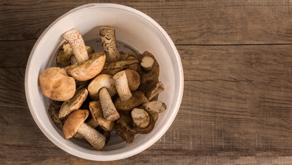 fresh mushrooms collected in the forest lie in a bucket on a wooden background