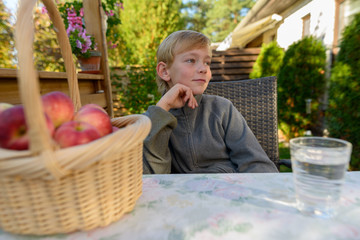 Young handsome boy with basket of apples thinking in the backyard