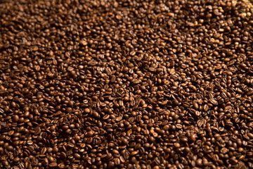 Closeup of roasted coffee beans