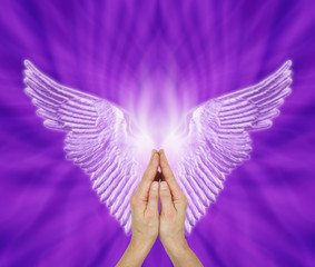 Angelic Therapist seeking Angel Guidance - Female hands in prayer position with a pair of pale...