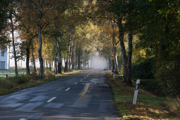 Landstrasse im Nebel