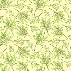 Naklejka na ściany i meble Tea tree leaves seamless pattern. Hand drawn vector illustration of Melaleuca. Green medicinal plant isolated on pastel yellow background. Herbs for cosmetics, package, textile, essential oil.