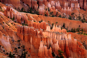 Utah / USA - August 22, 2015: View of colorful Hoodoo and rock formation detail at Sunset Point in Bryce Canyon National Park, Utah, USA