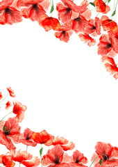 red watercolor poppies on top and bottom of the pattern
