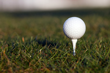 Golf ball and field