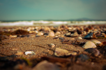 Burgas