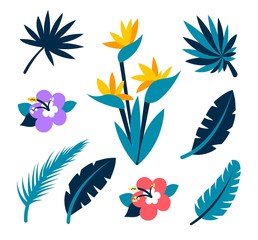 Fototapeta na wymiar Vector set collection of tropical leaves and flower. Tropical collection for beach, summer holiday, hawaiian party design. Vector isolated elements on the white background.