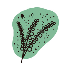 Plants and botanical illustrations on a white background. Pastel delicate colors. Vector floral set. Herbal Collection