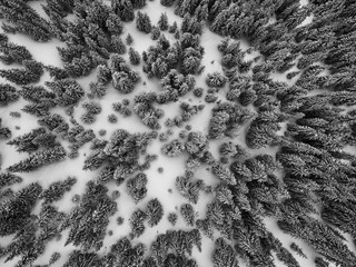 Aerial view of a snow covered forest in the French Alps in winter