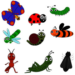 Butterfly, caterpillar, bee, ant, snail, fly, dragonfly.