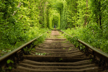 Real natural wonder love tunnel created from trees along the railway Ukraine, Klevan