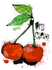 Red Cherry SKetch