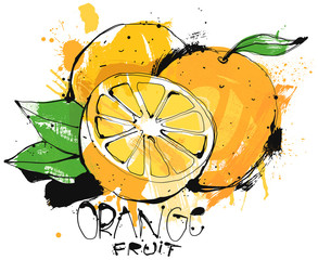 Orange Fruit Sketch isolated