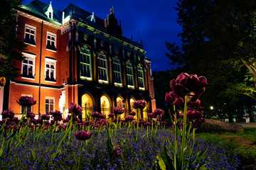 Fototapety na wymiar - Fototapeta24.pl