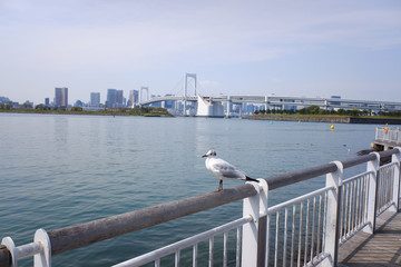 お台場海浜公園