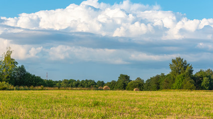 Middle Russian rural landscape with field, sky, forest at summer