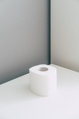 Toilet paper roll in isometric style. Coronavirus infection. Pandemic panic concept.