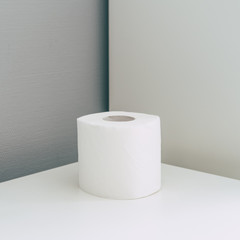 Toilet paper roll in isometric style in grey and white colors. Coronavirus infection. Pandemic panic concept.