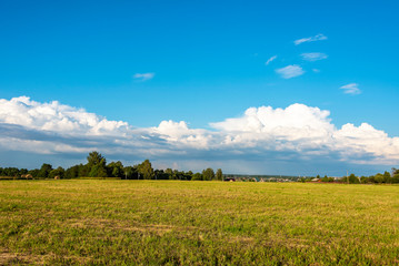 Obraz premium Middle Russian rural landscape with field, sky, forest at summer