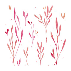 Isolated pink watercolor floral decor on white background