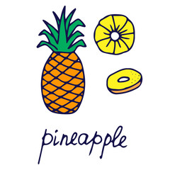 Hand drawn vector isolated food icon. Color fill illustration of tropical fruit. Pineapple icon. 