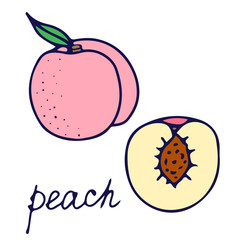 Hand drawn vector isolated food icon. Color fill illustration of peach. Peach icon. 