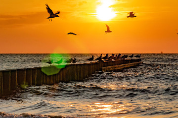 Baltic Sea © Grzegorz