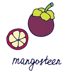 Hand drawn vector isolated food icon. Color fill illustration of tropical fruit. Mangosteen icon. 