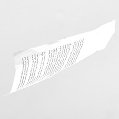 buchseite