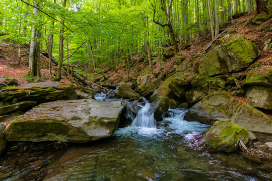 water stream in the beech forest. beautiful nature scenery in spring, trees in fresh green foliage. mossy rocks and boulders on the shore. warm sunny weather