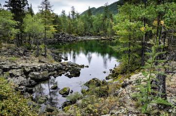 On the shore of a mountain lake, stones, hummocks and forest. cloudy day with reflection, natural light