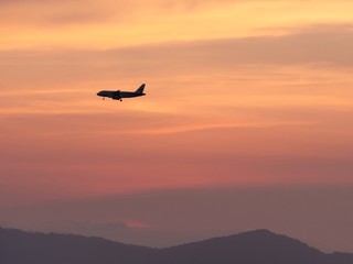 Fototapeta na wymiar Golden Sunset Flight