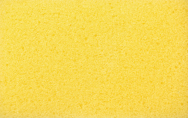 Yellow sponge texture background