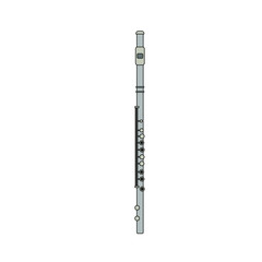 transverse flute musical instruments on white background