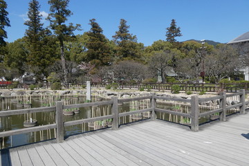 Shrine Garden Japan
