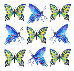Naklejka na ściany i meble Set of butterflies, watercolor illustration. Hand drawing.