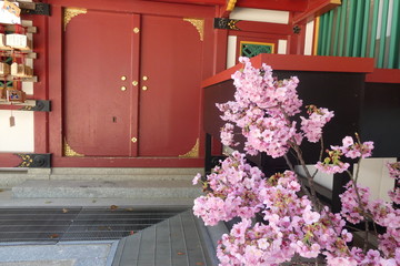 Fototapeta na wymiar Shrine Garden Japan