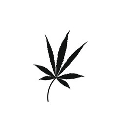 cannabis leaves on white background