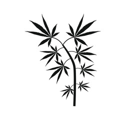 cannabis leaves on white background