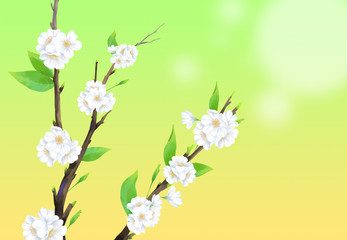 Cherry blossom illustration close-up with light yellow color background.