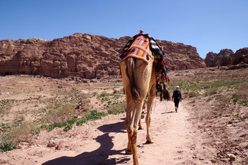 Nomades bédouins sur le site archéologique de Pétra, Jordanie