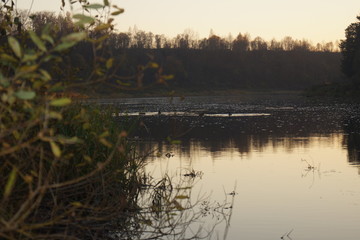 High coast, A river flows near the village, autumn painted everything around in Golden shades