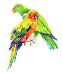 Watercolor hand painted exotic tropical parrots illustration set isolated on white background