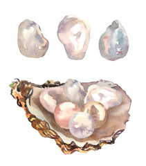 Watercolor hand painted natural pearls illustration set isolated on white background