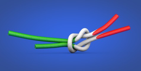 italy strong knot digital 3d