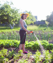 Girl watering   garden in   village in   summer.