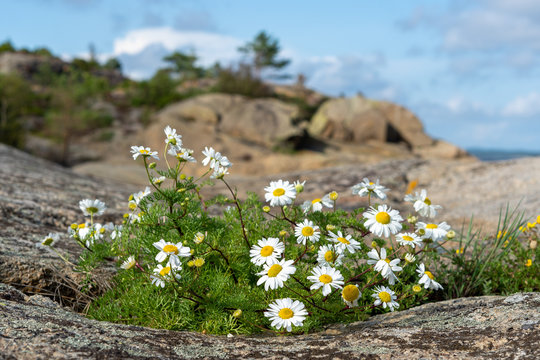 Sandefjord, Norway - Augustus 2019